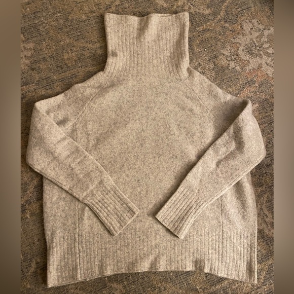 Aritzia Sweaters - Aritzia community Plutarch turtleneck sweater